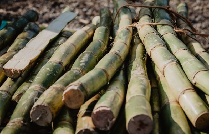 Sugar Cane - brown bamboo sticks on brown wooden table