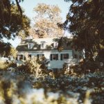 Vintage Mansion - white and gray house in forest