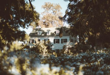 Vintage Mansion - white and gray house in forest