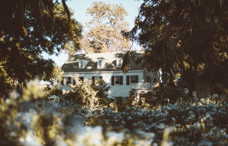 Vintage Mansion - white and gray house in forest