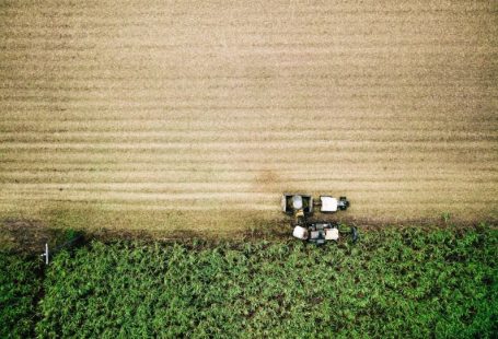 Sugarcane - aerial photo of farm