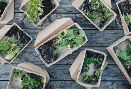 Biodegradable - green leaves on white ceramic bowls