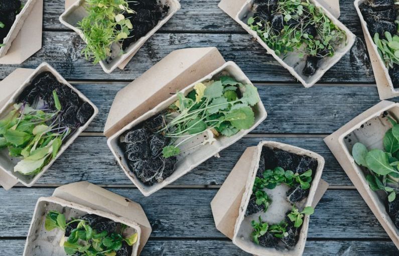 Biodegradable - green leaves on white ceramic bowls