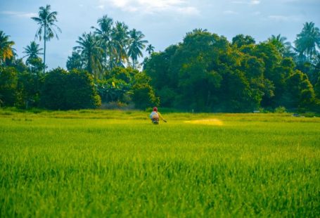 Pesticide Spray - a person in a green field with trees in the background